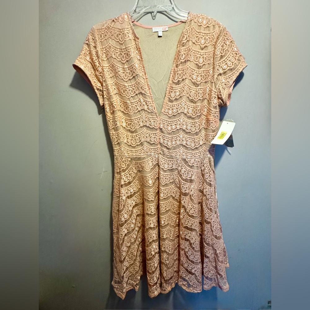 GB Blush Lace Dress